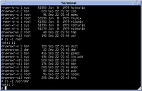 La shell di UNIX