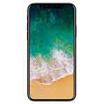   Ripara il tuo iPhone X!